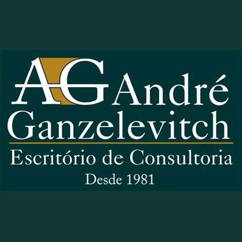 "André Ganzelevitch Consultoria"